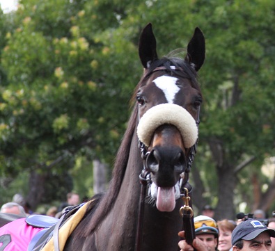 NTRA