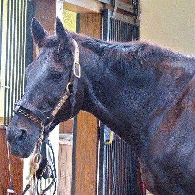 NTRA