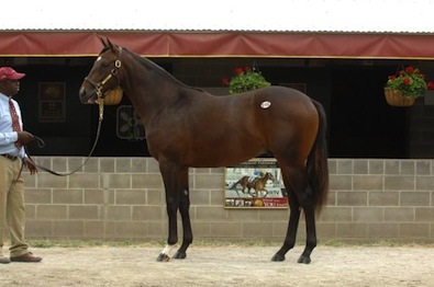 NTRA