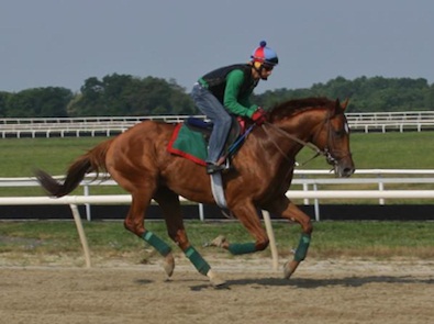 NTRA