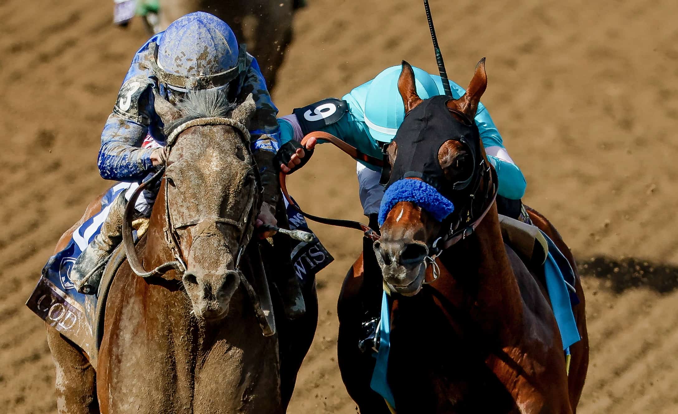 Media Eclipse Award Winners Announced for 2023 BloodHorse
