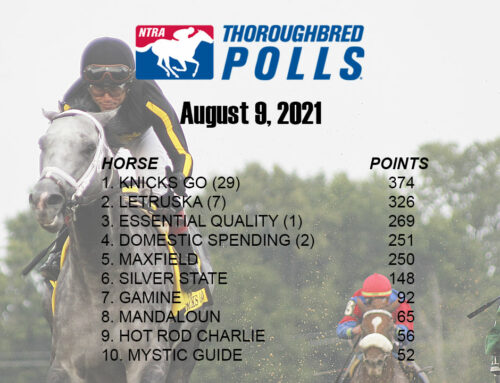 Knicks Go Is New No. 1 In NTRA Top Thoroughbred Poll