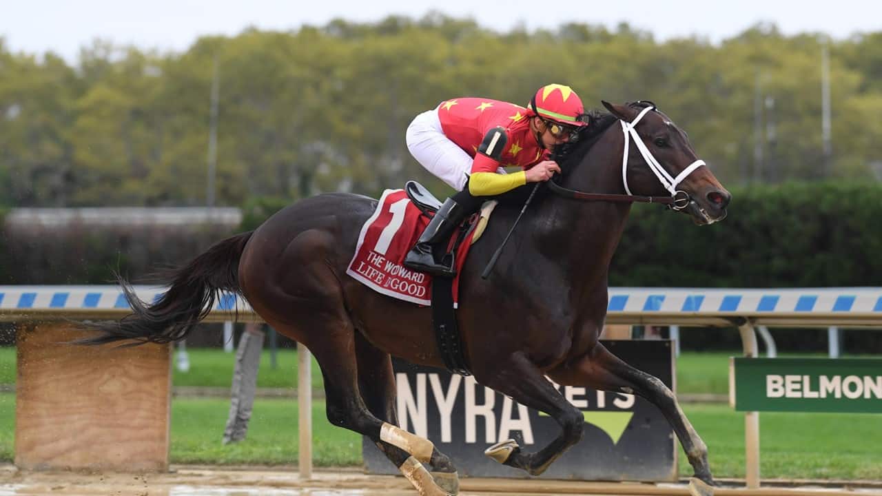 Life Is Good has won 4 of 5 starts this year after taking the Grade 1 Woodward Stakes on Saturday.