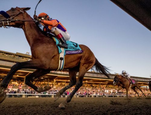 Authentic Voted 2020 Horse of the Year